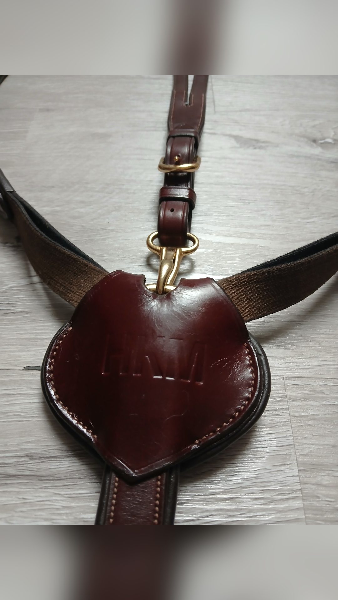 Collier de chasse + Martingale Clincher, média 6