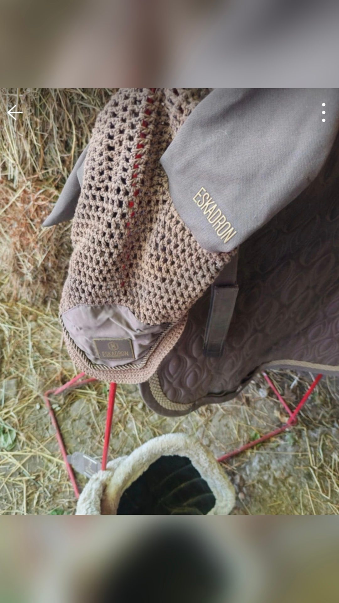 Ensemble dressage tapis bonnet guetres, média 5