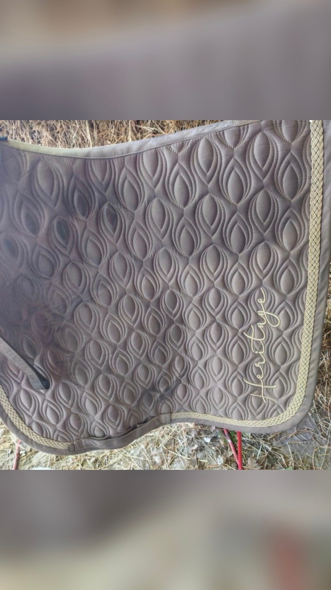 Ensemble dressage tapis bonnet guetres, média 4
