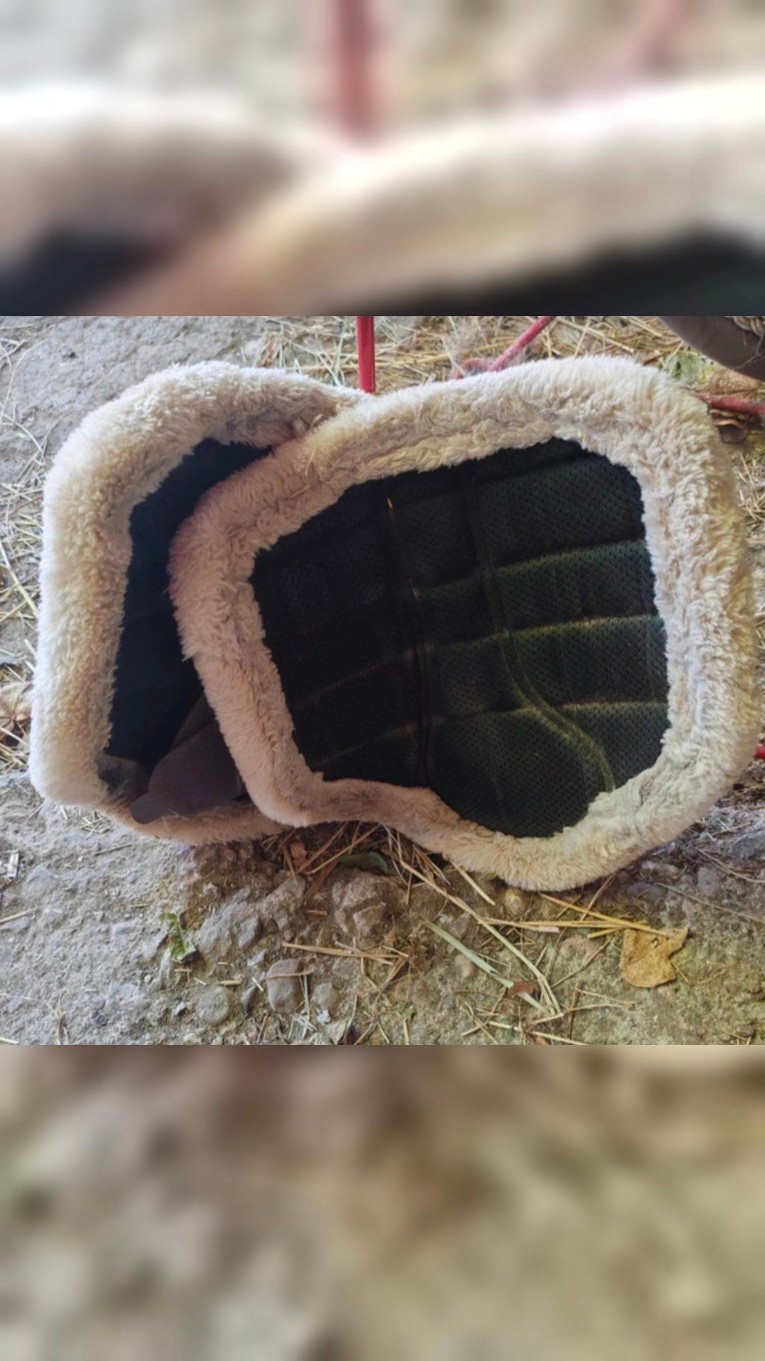 Ensemble dressage tapis bonnet guetres, média 7