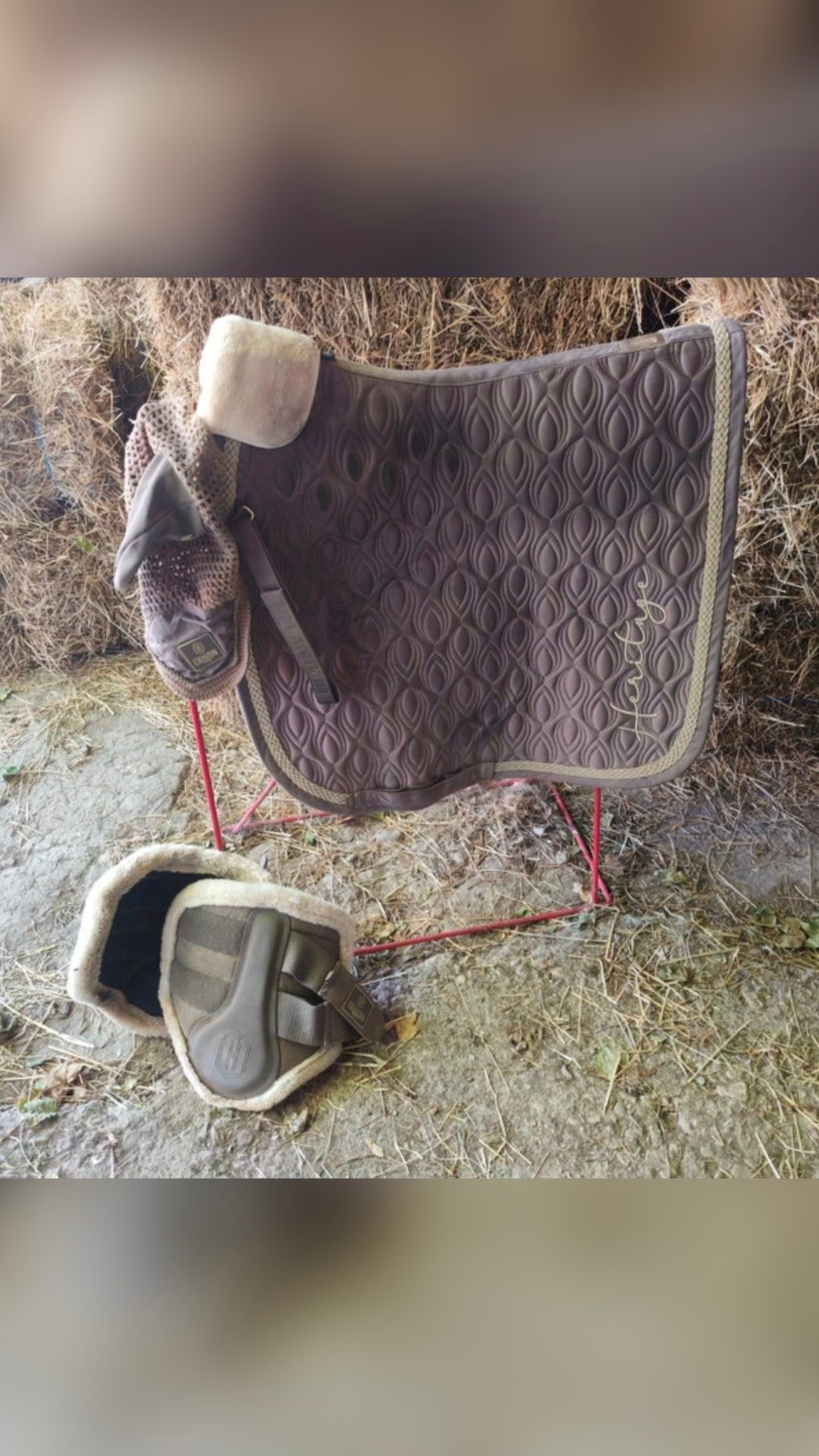 Ensemble dressage tapis bonnet guetres, média 3