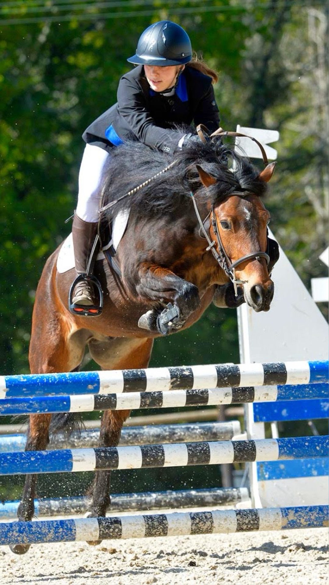 FARRIERS FAIR PRINCE (GBR), média 4