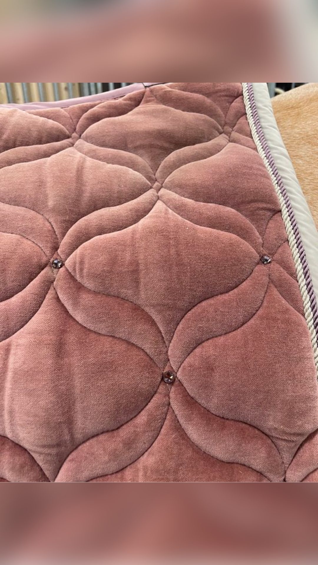 Tapis Eskadron rose, média 2