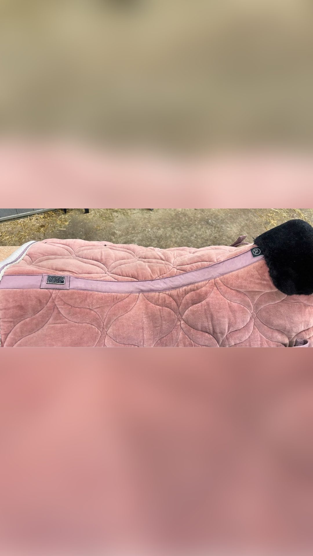 Tapis Eskadron rose, média 3