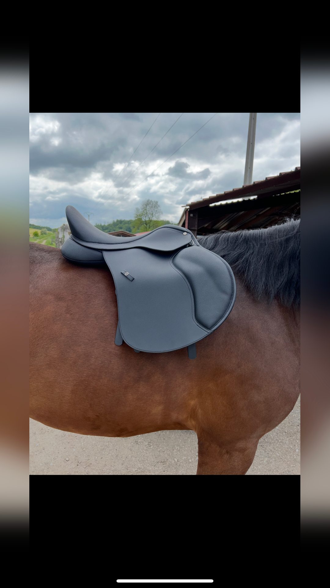 Selle Wintec, média 2