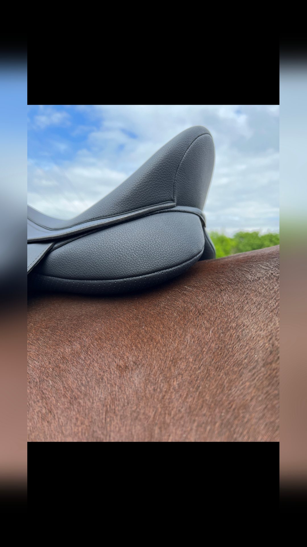 Selle Wintec, média 3