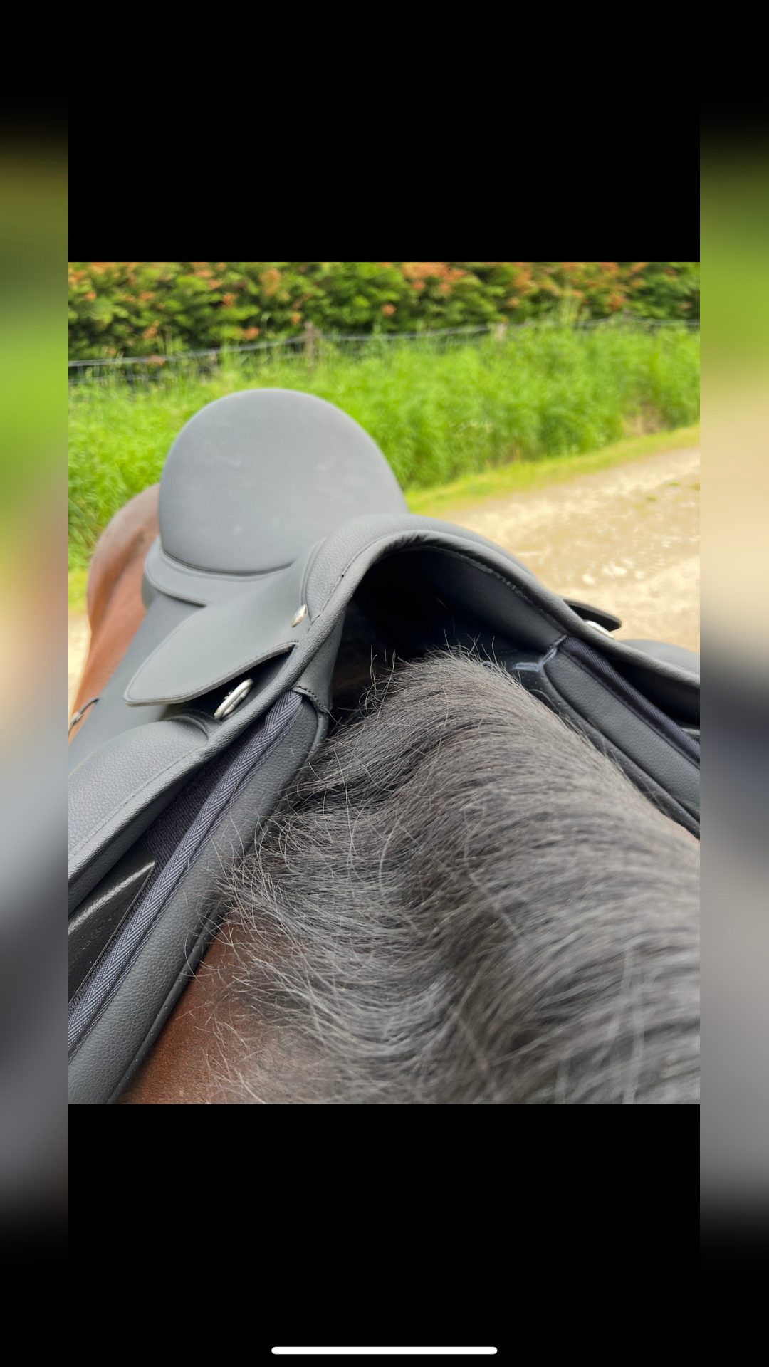 Selle Wintec, média 4