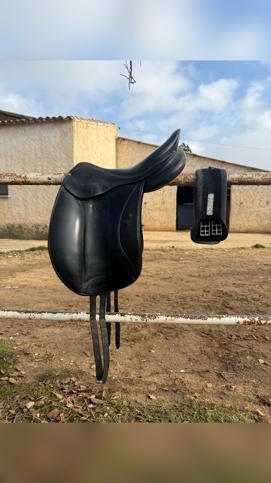 Selle Dressage Forestier, média 2