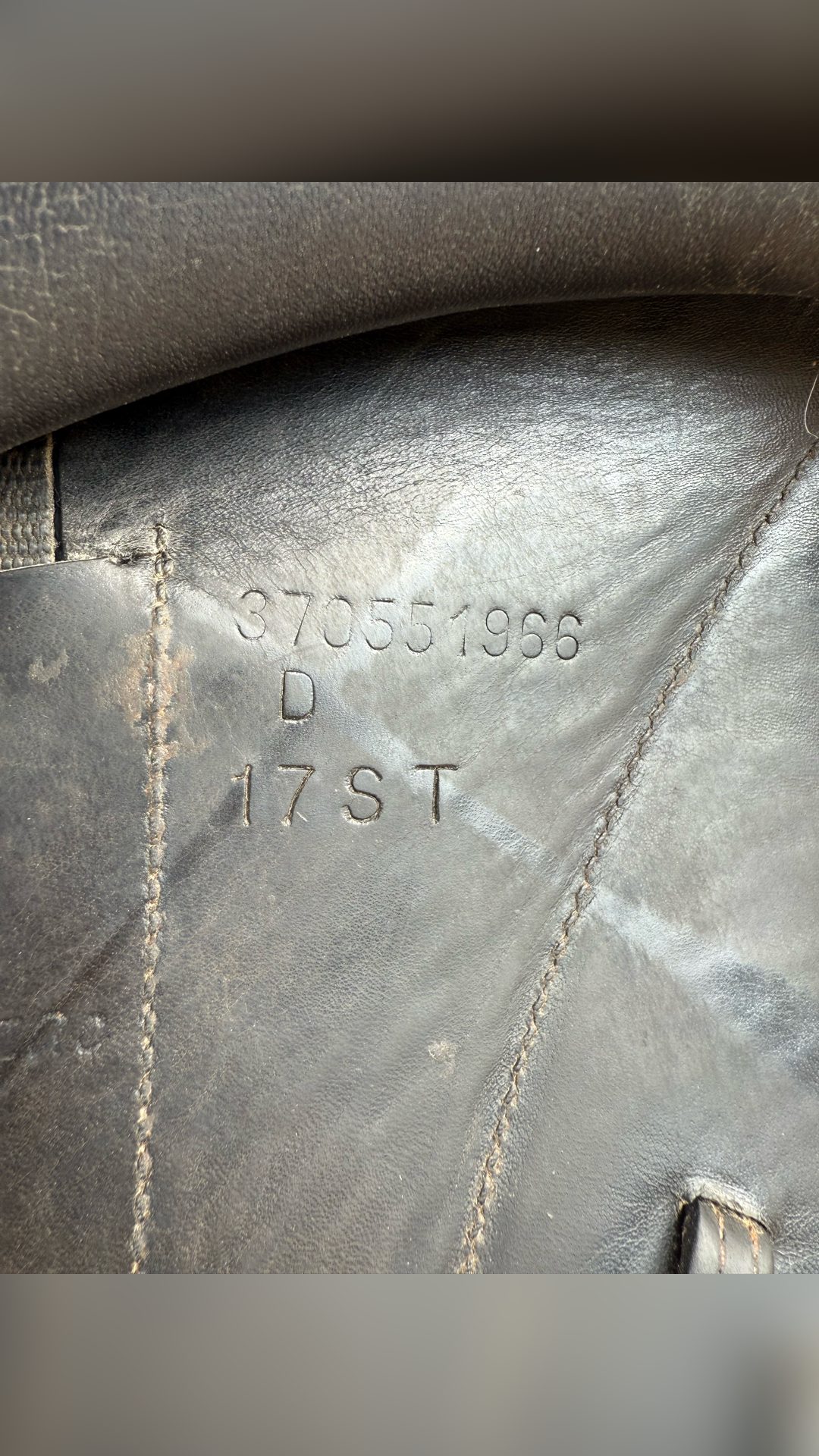 Selle Dressage Forestier, média 4