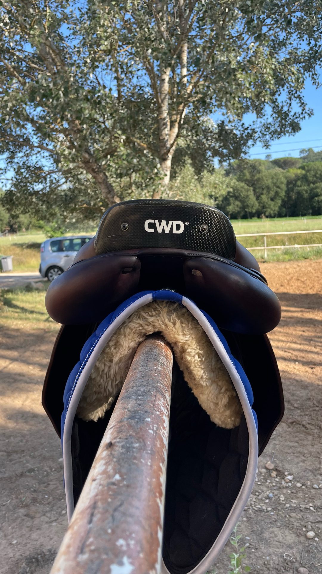 Selle CWD, média 3