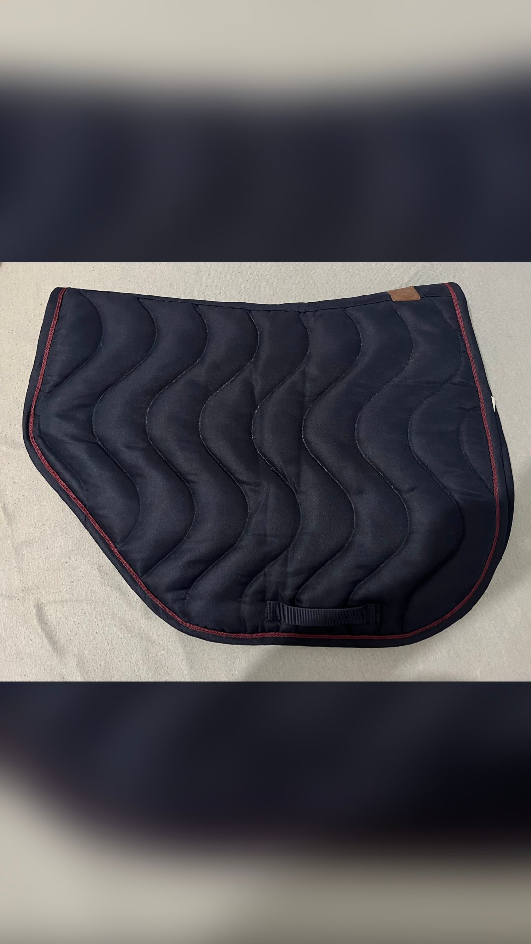 Tapis Salon du cheval de Paris 2019, média 2
