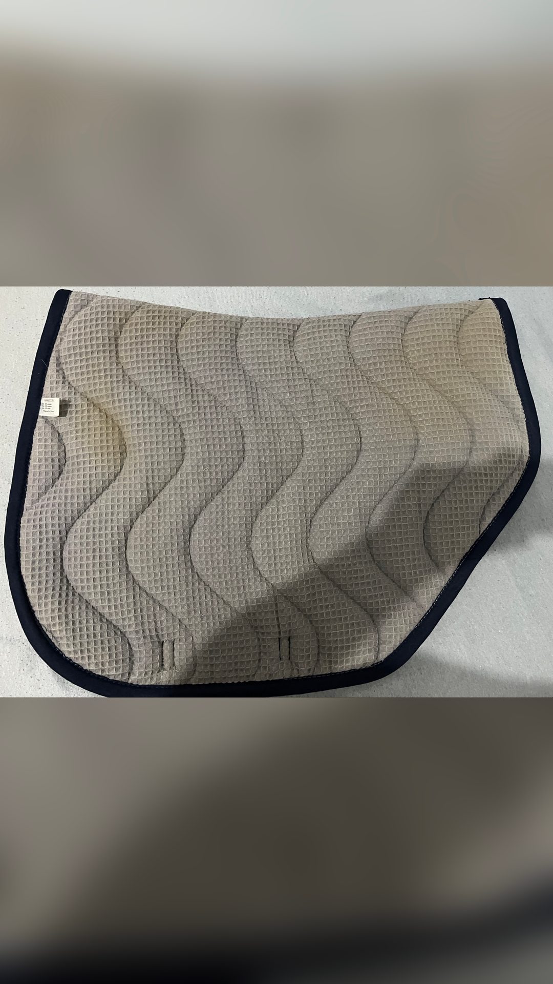 Tapis Salon du cheval de Paris 2019, média 3