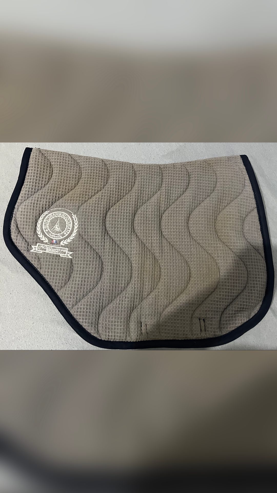 Tapis Salon du cheval de Paris 2019, média 4