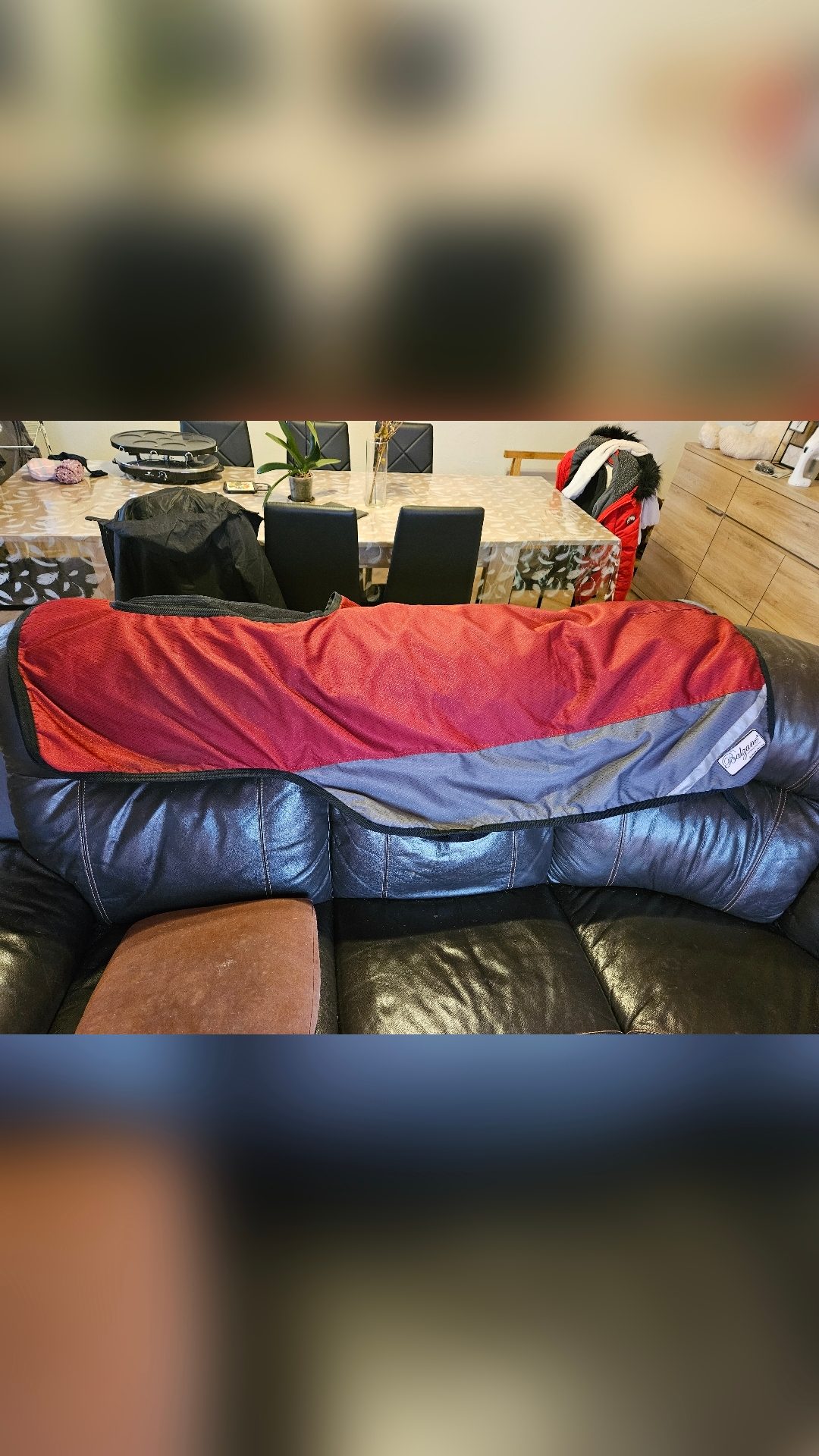 Couvre rein Balzane, média 2