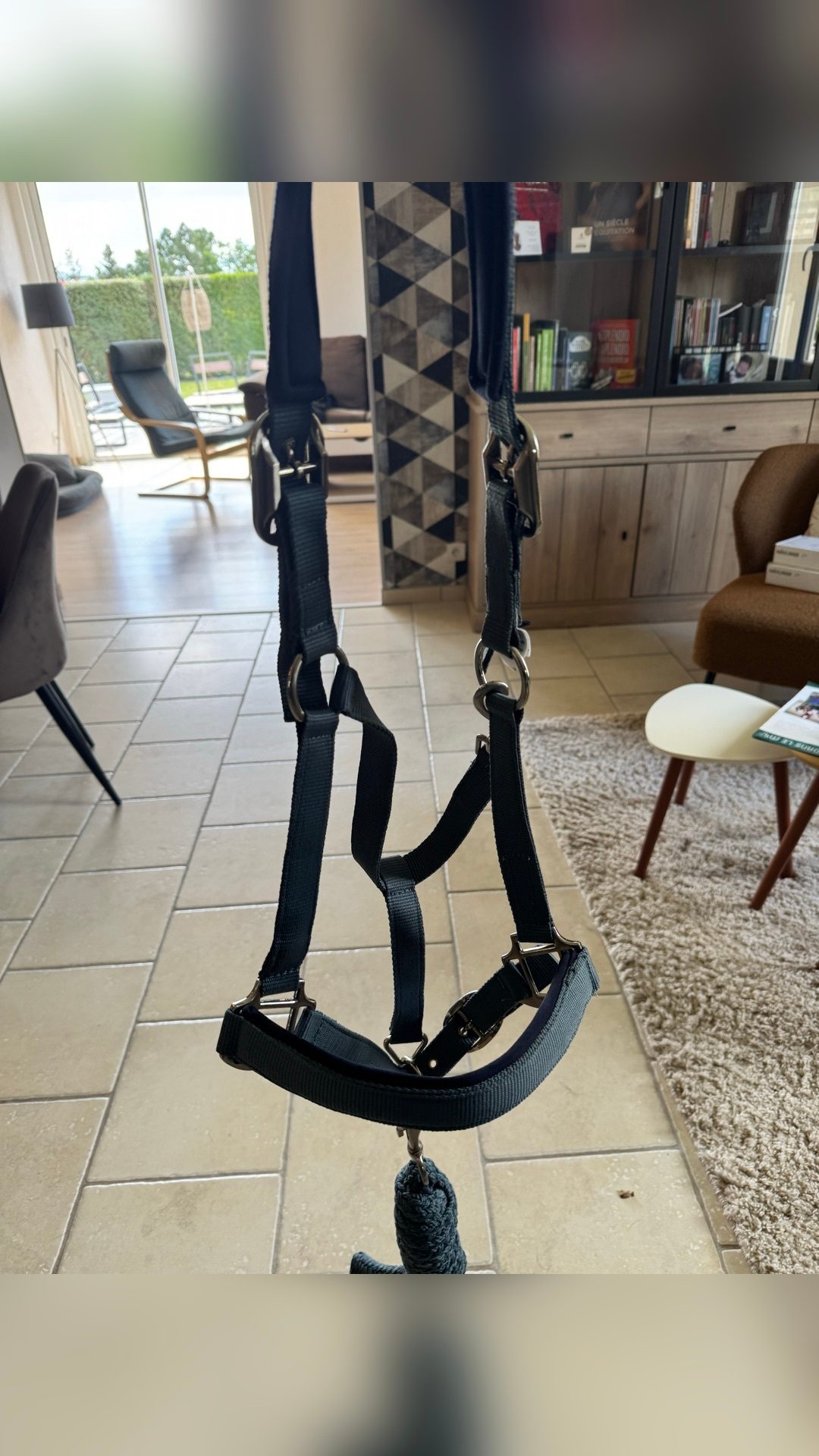 Licol avec longe cheval, média 2