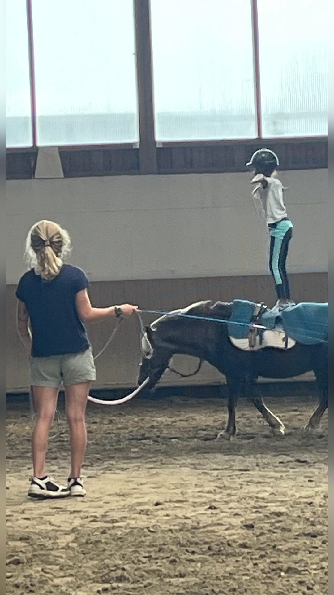 Travail du cheval et enseignement, média 6