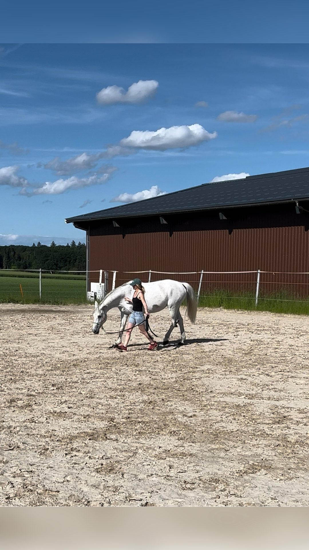 Travail du cheval et enseignement, média 7