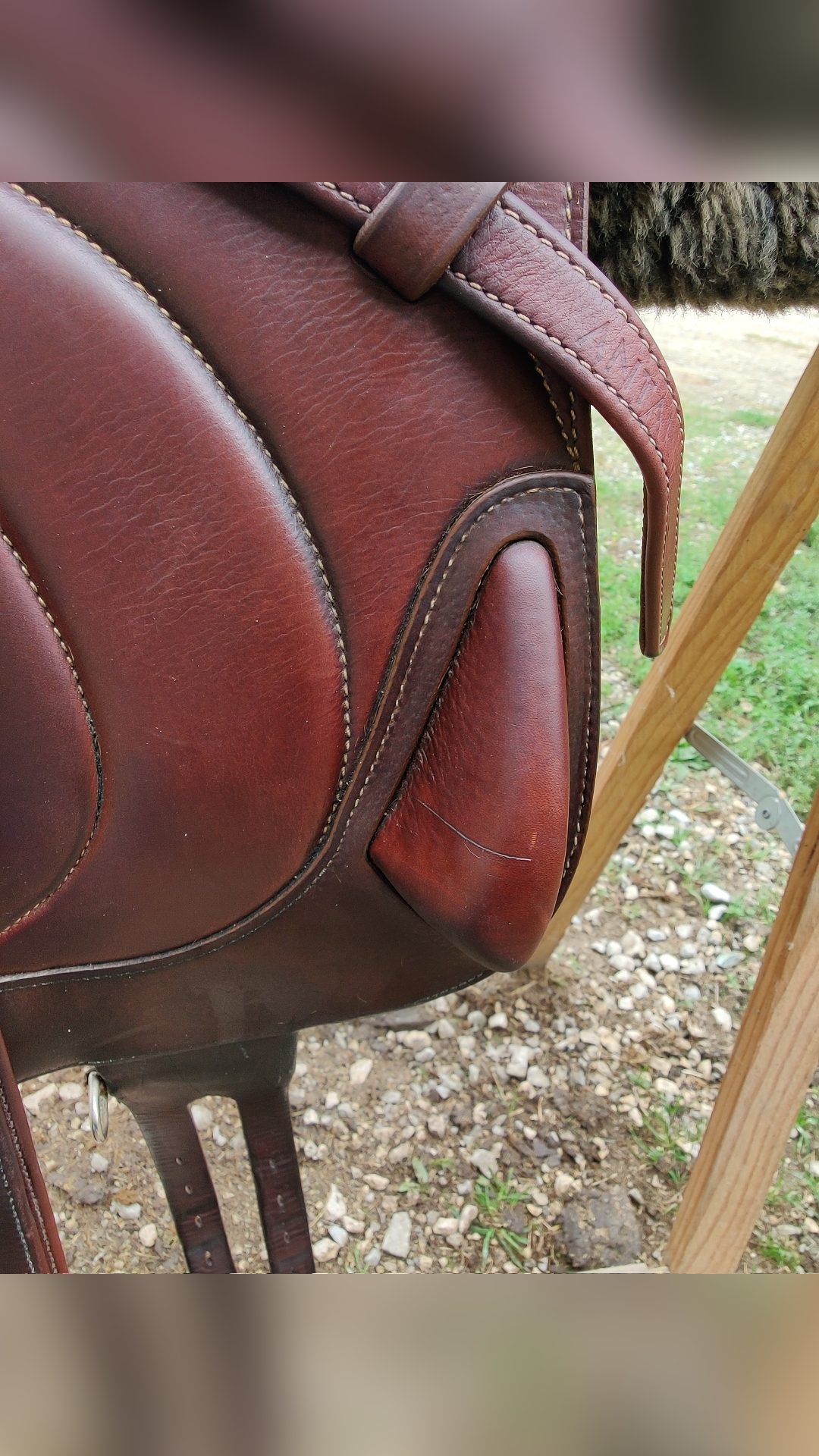Selle Antarès Connexion, média 4