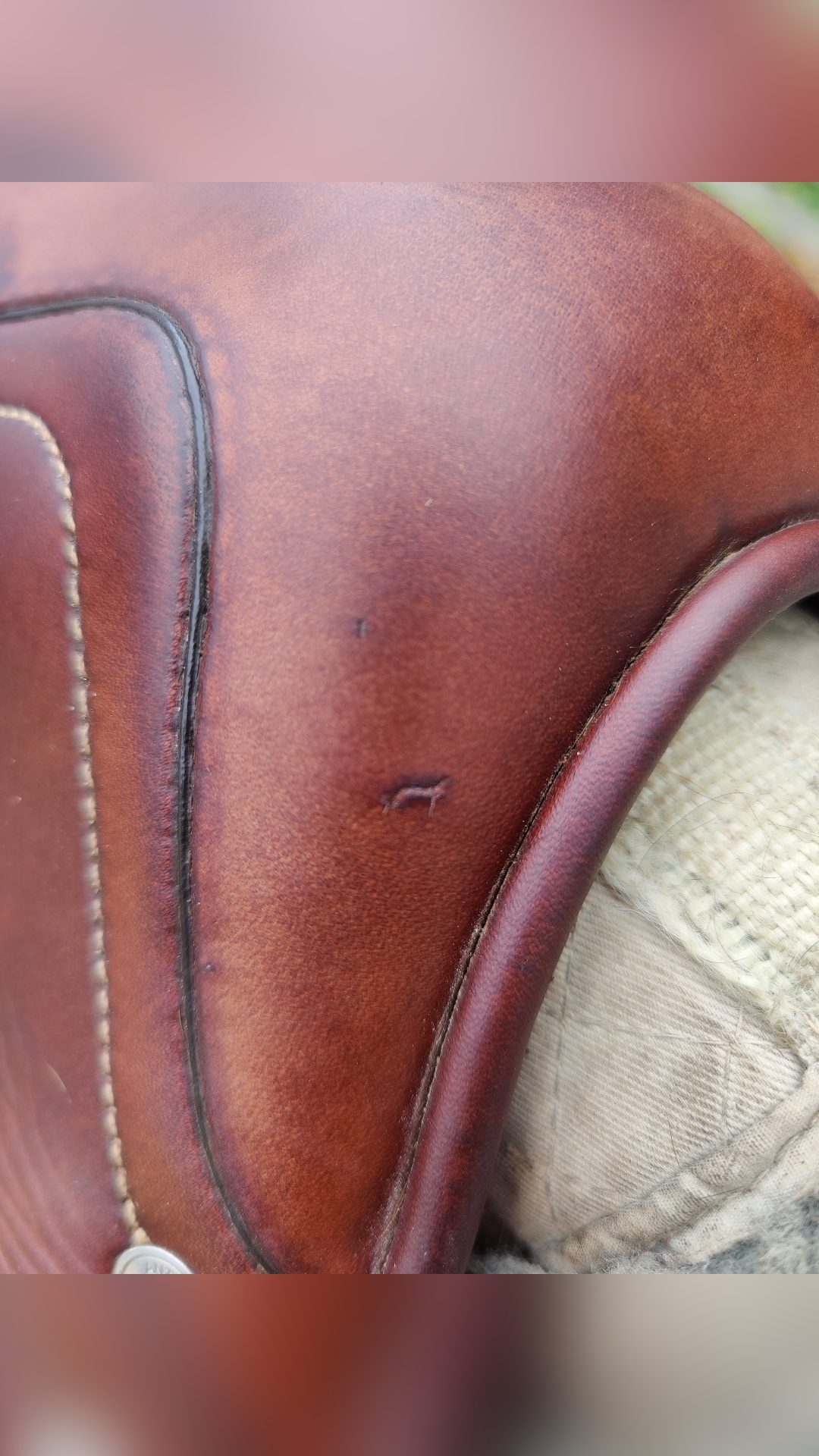 Selle Antarès Connexion, média 5