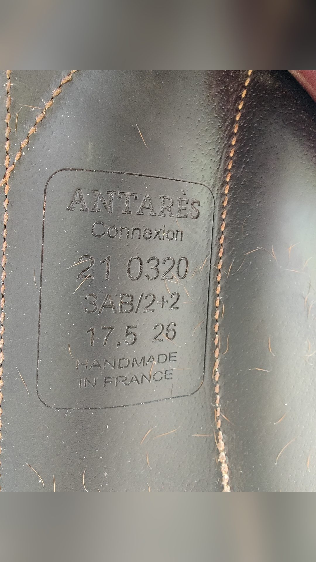 Selle Antarès Connexion, média 6