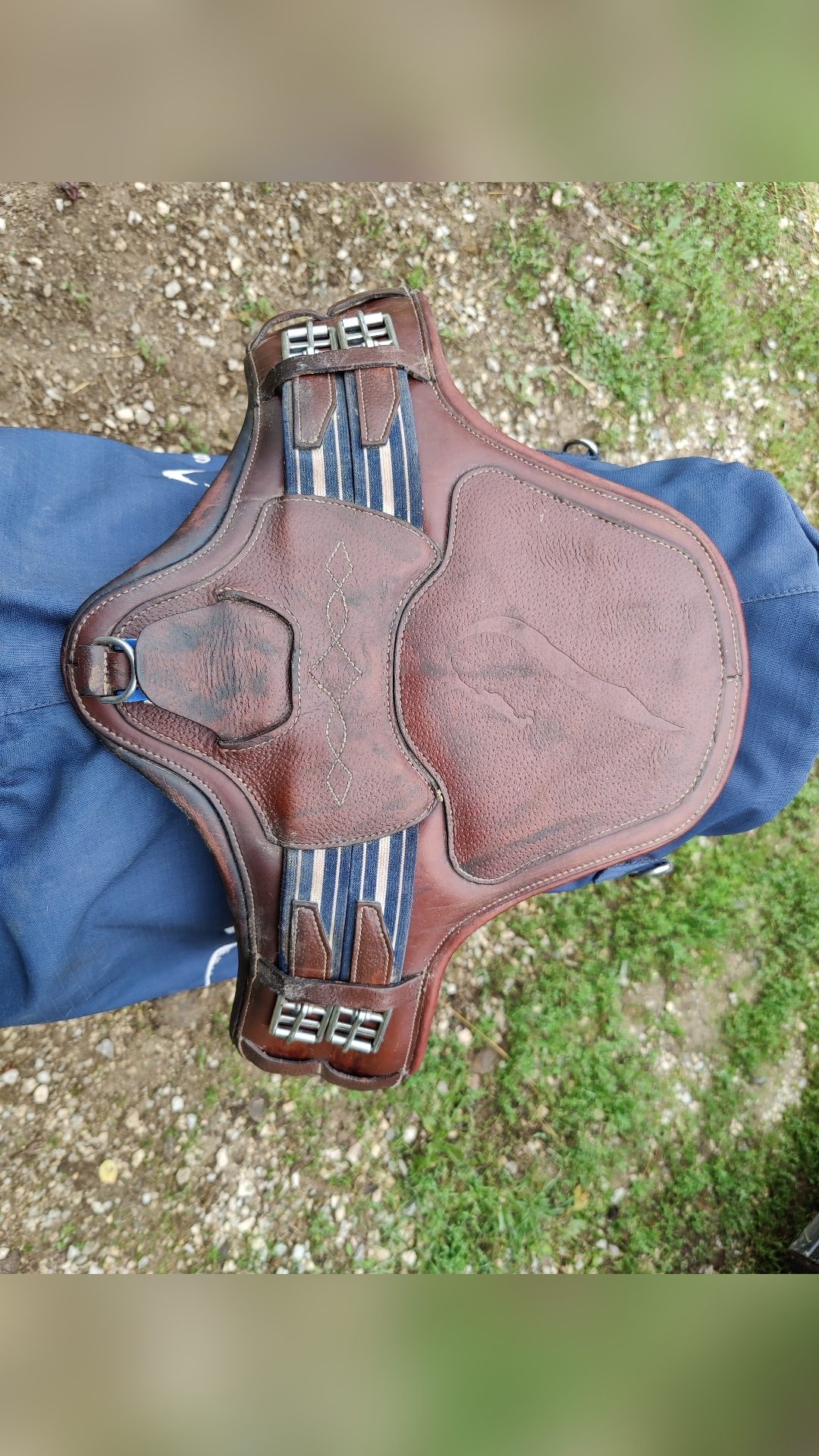 Selle Antarès Connexion, média 7