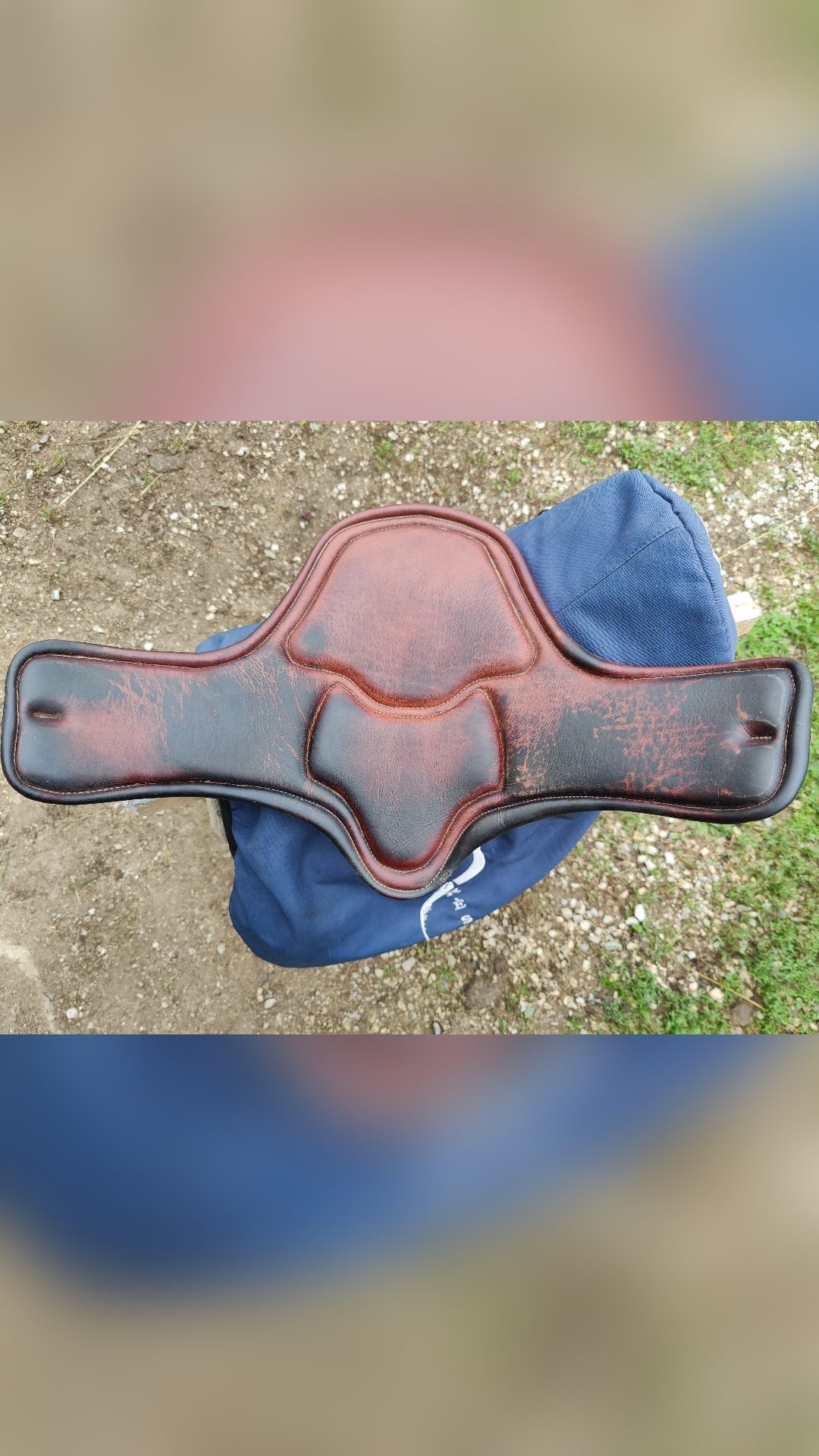 Selle Antarès Connexion, média 9