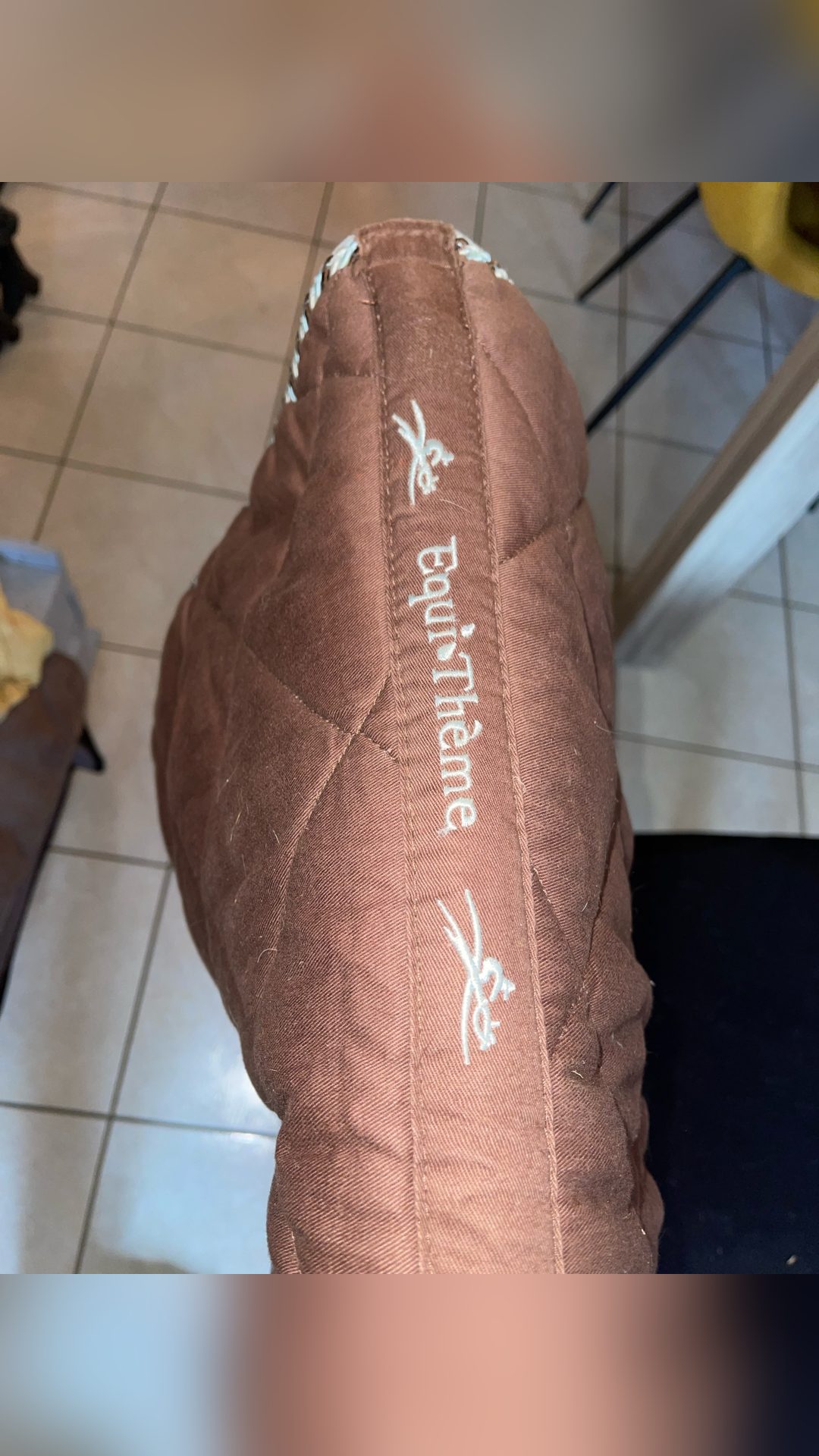 Tapis Equithème, média 2