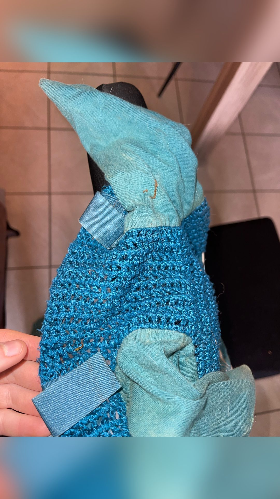Bonnet à mouche, média 2