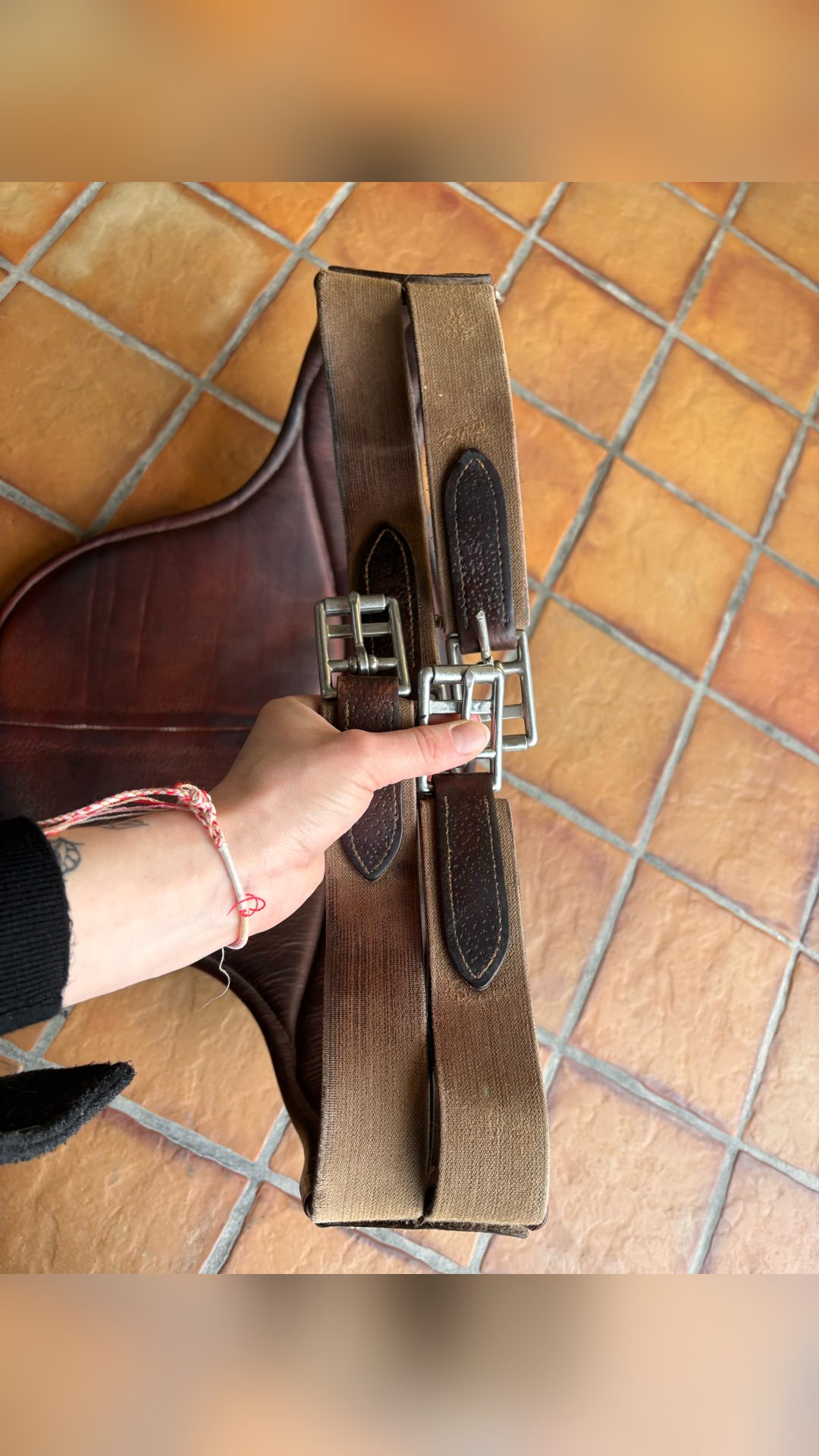 Sangle bavette CWD, média 2