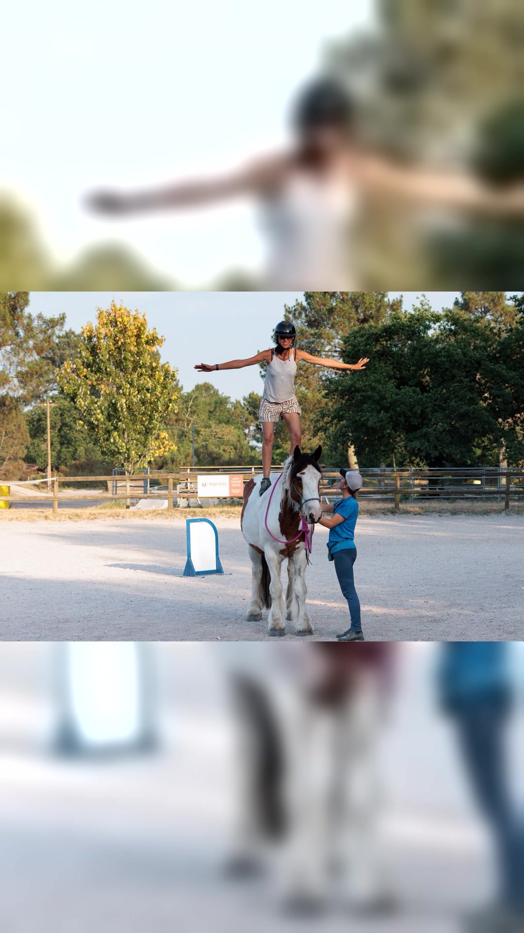 Debourage des jeunes chevaux, média 7