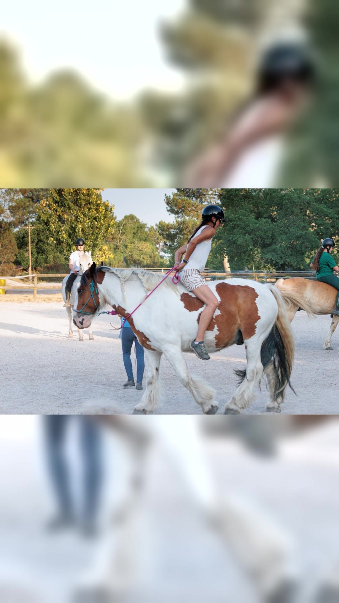Debourage des jeunes chevaux, média 8