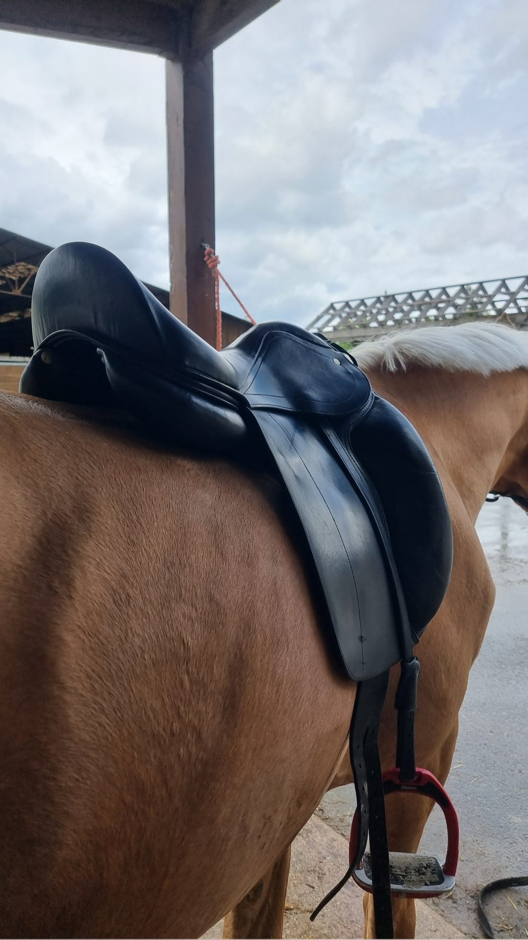 Selle de dressage Fleur de Lys, média 2