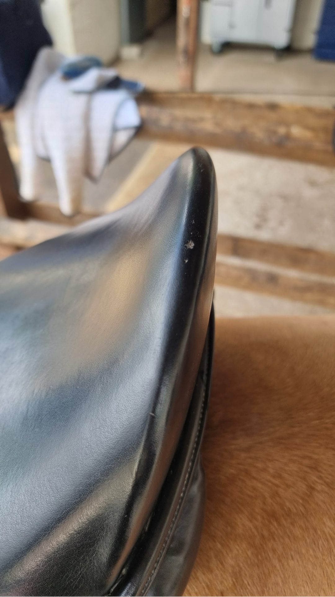 Selle de dressage Fleur de Lys, média 3