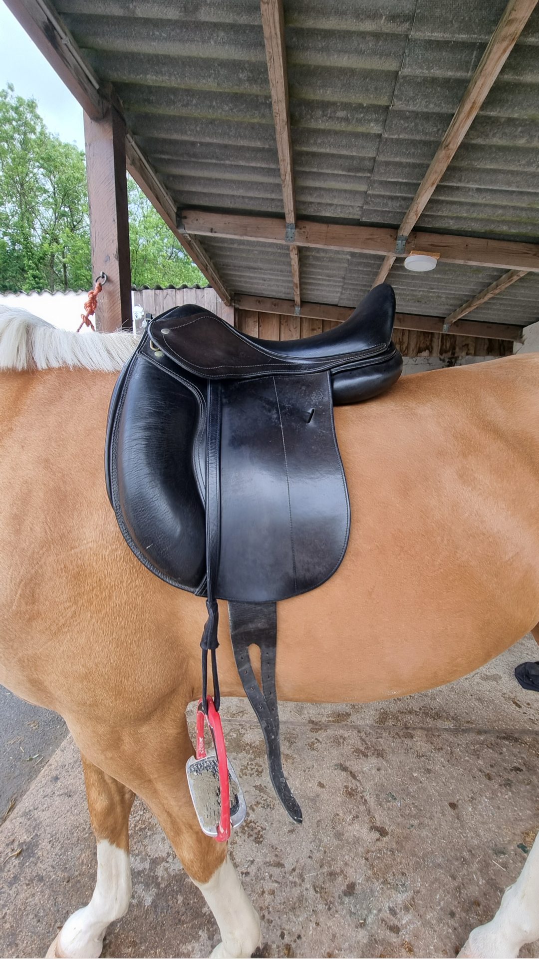 Selle de dressage Fleur de Lys, média 4