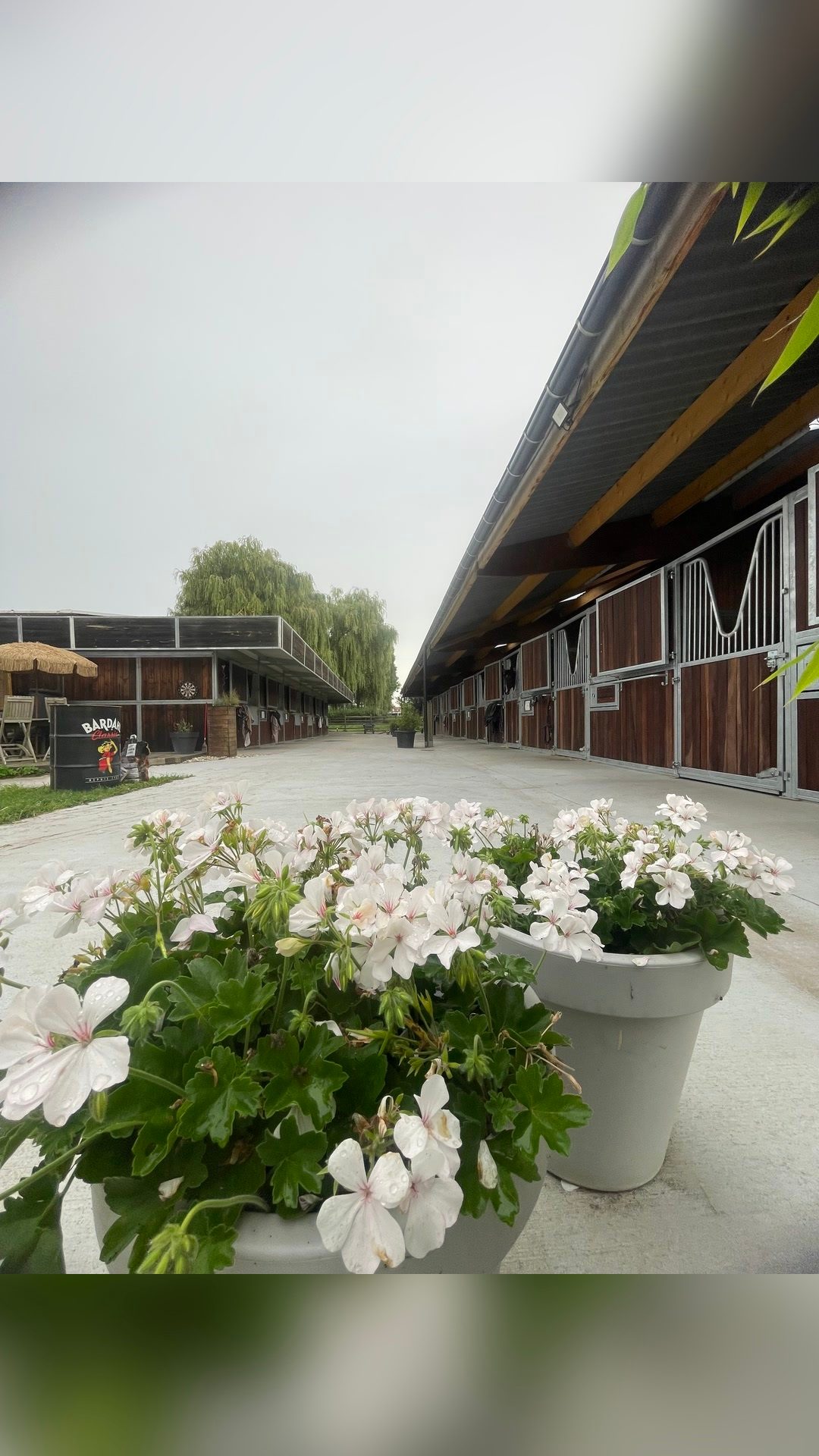 Pension, média 4