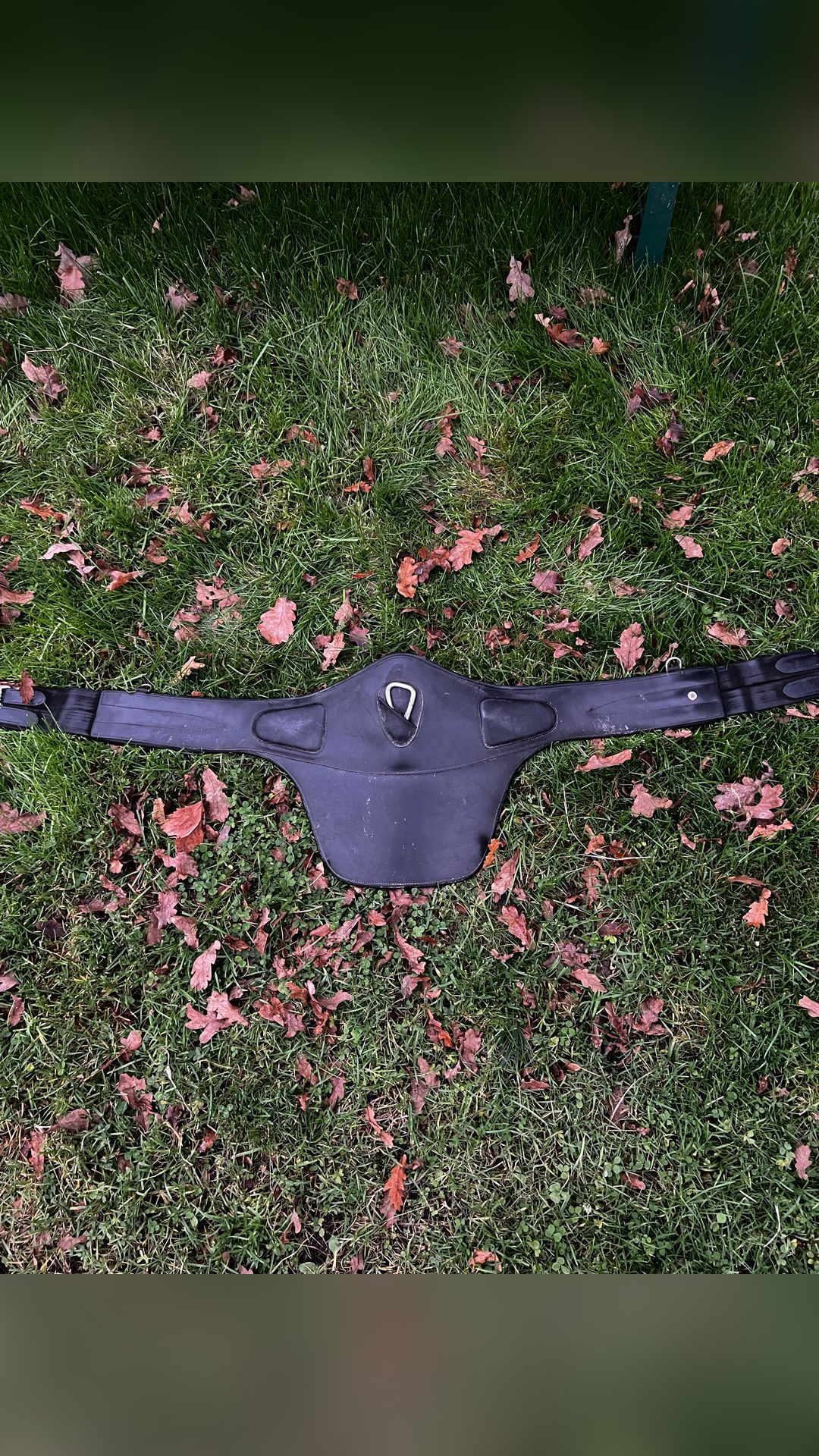 Selle noire Éric Thomas modèle Élite taille 17’5, média 6