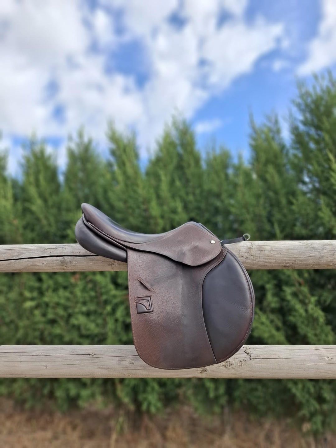 Selle childeric, média 4