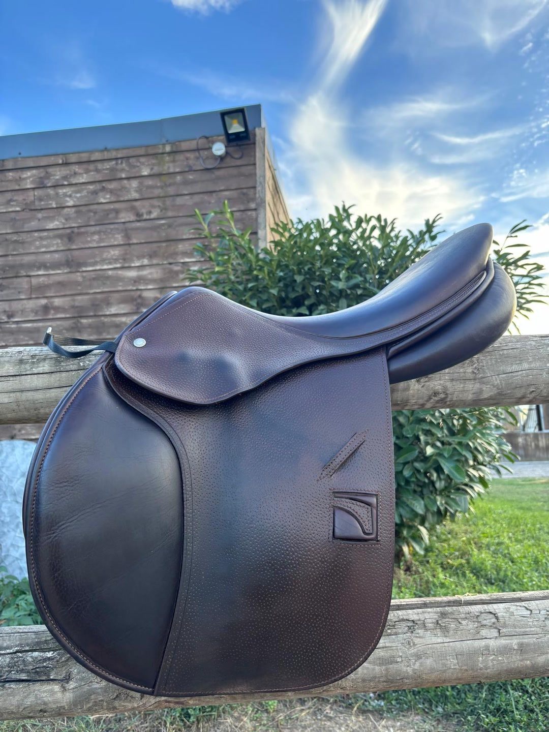Selle childeric, média 2