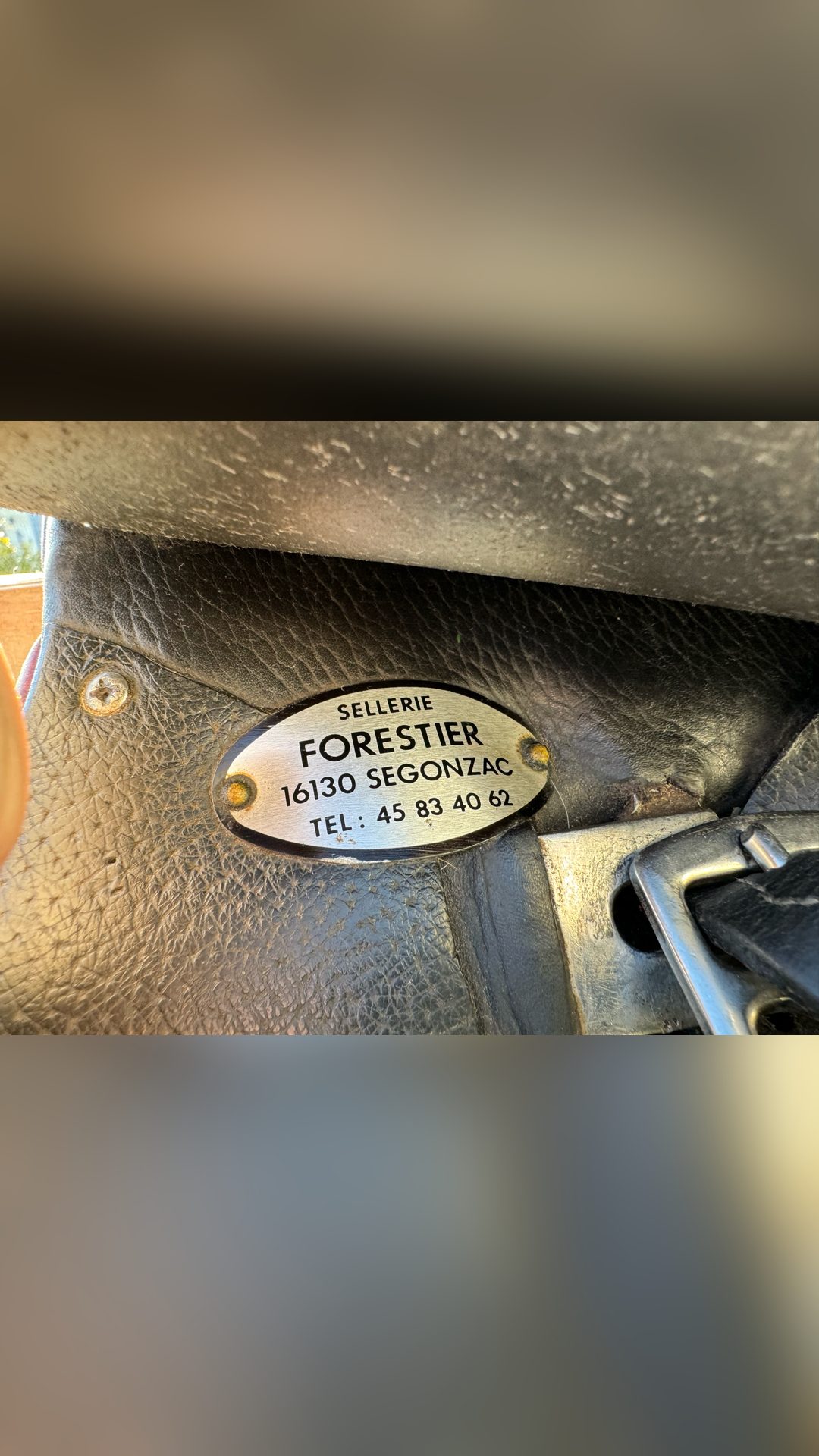 Selle Forestier modèle trec, média 3