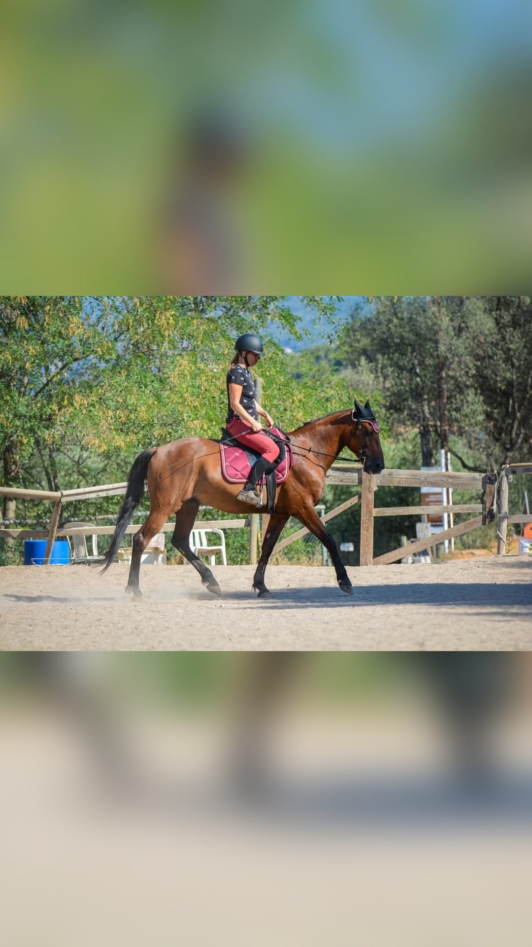 ODEON VAUMICEL 1'15"6 (A4V), média 2
