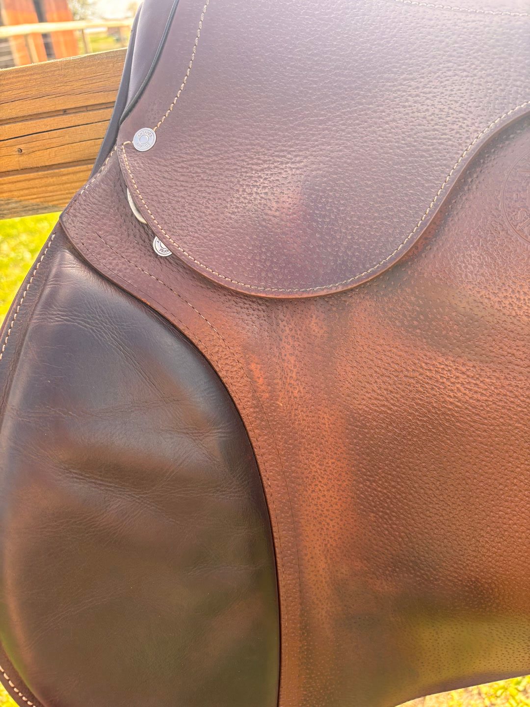 Selle Antares, média 2