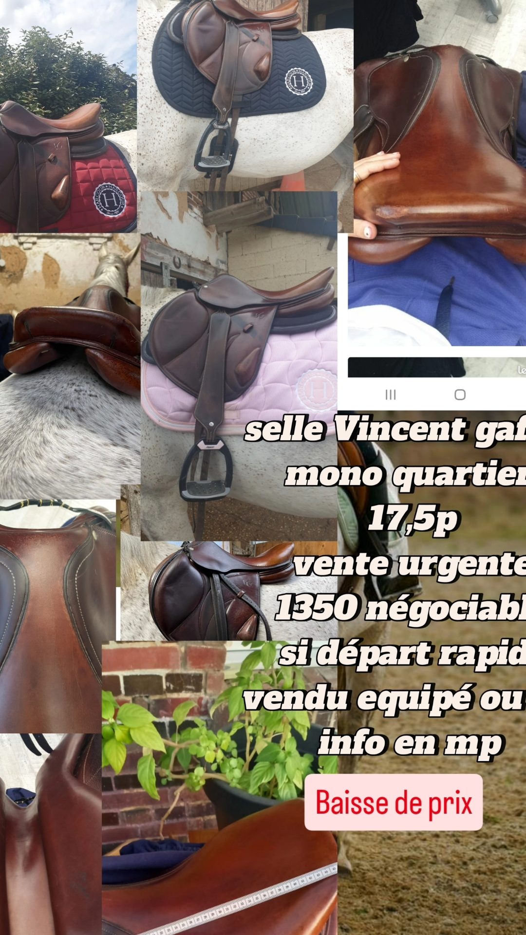 Selle Vincent Gaffet, média 3