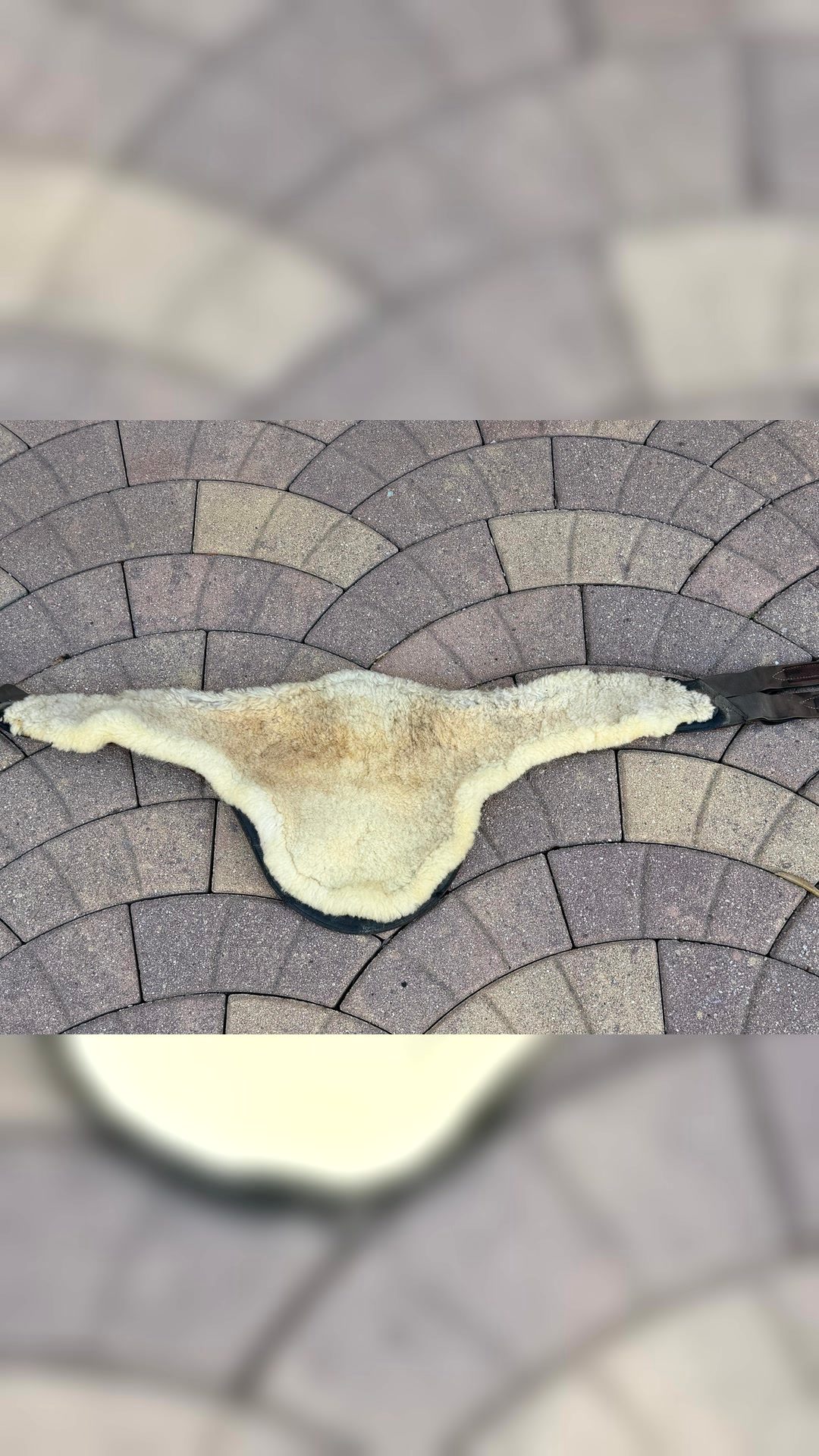 Sangle bavette Devaucoux en cuir marron et moumoute 🤎 taille 130cm, média 7