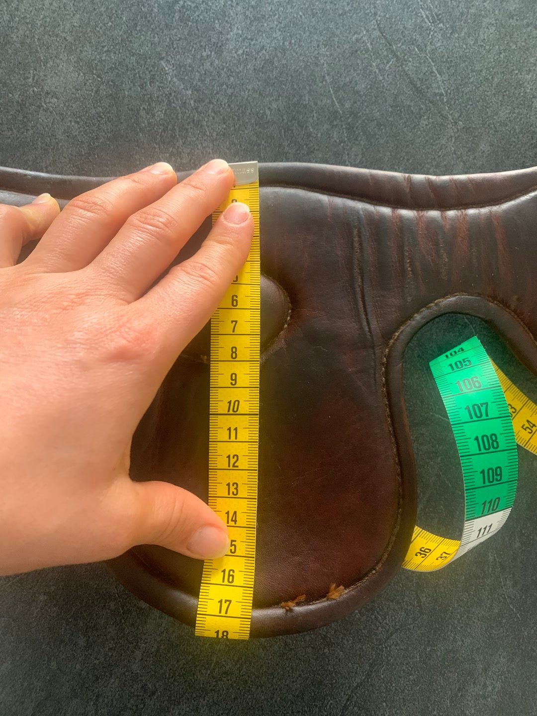 Bruno Delgrange Guêtres + Protège Boulet en cuir marron taille cheval, média 7