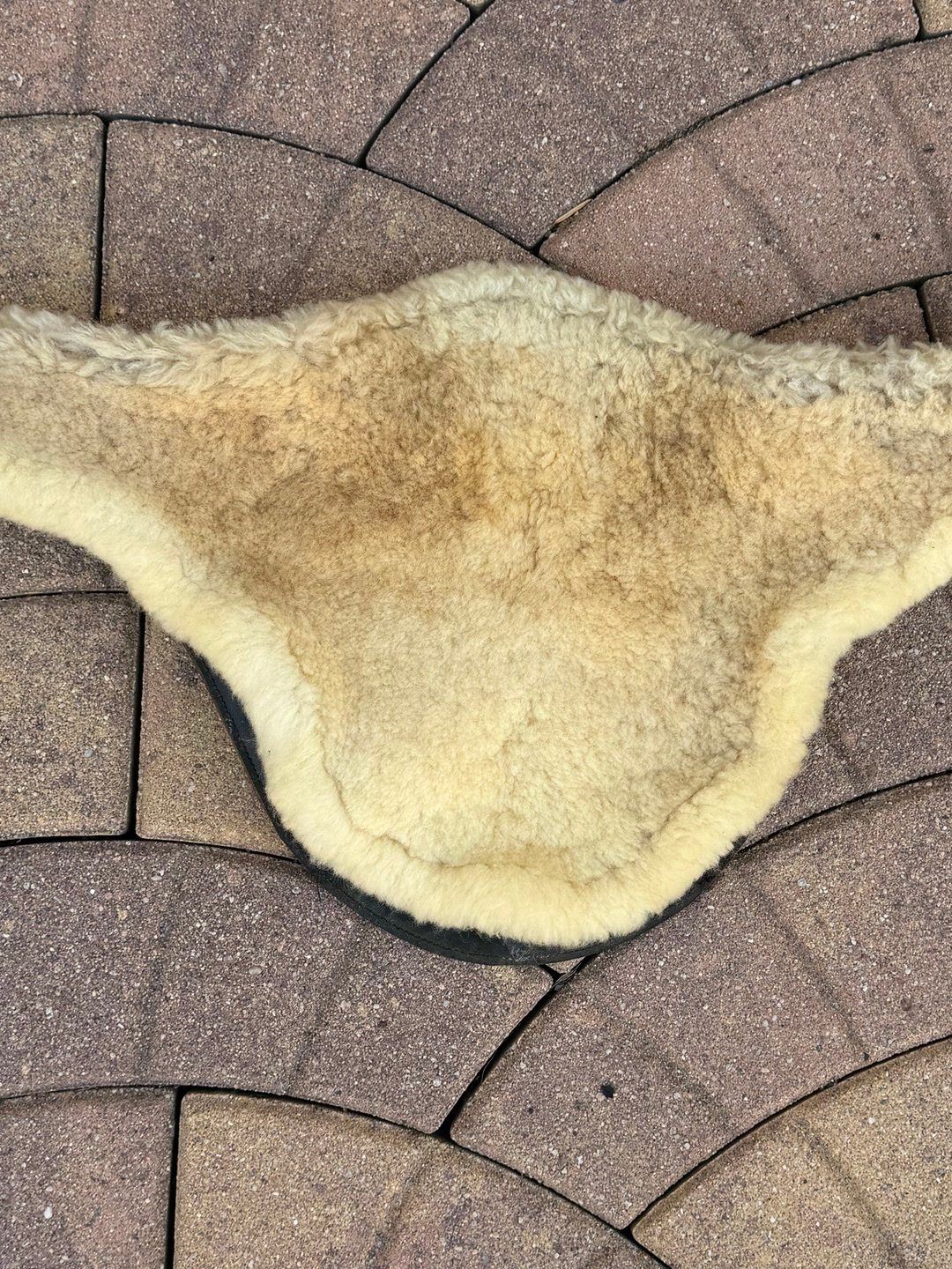 Sangle bavette Devaucoux en cuir marron et moumoute 🤎 taille 130cm, média 3