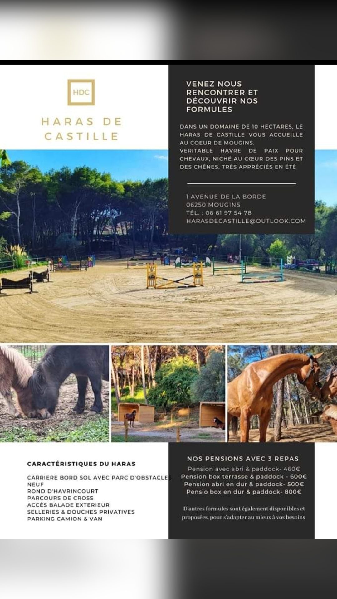 Haras de castille 06, média 2