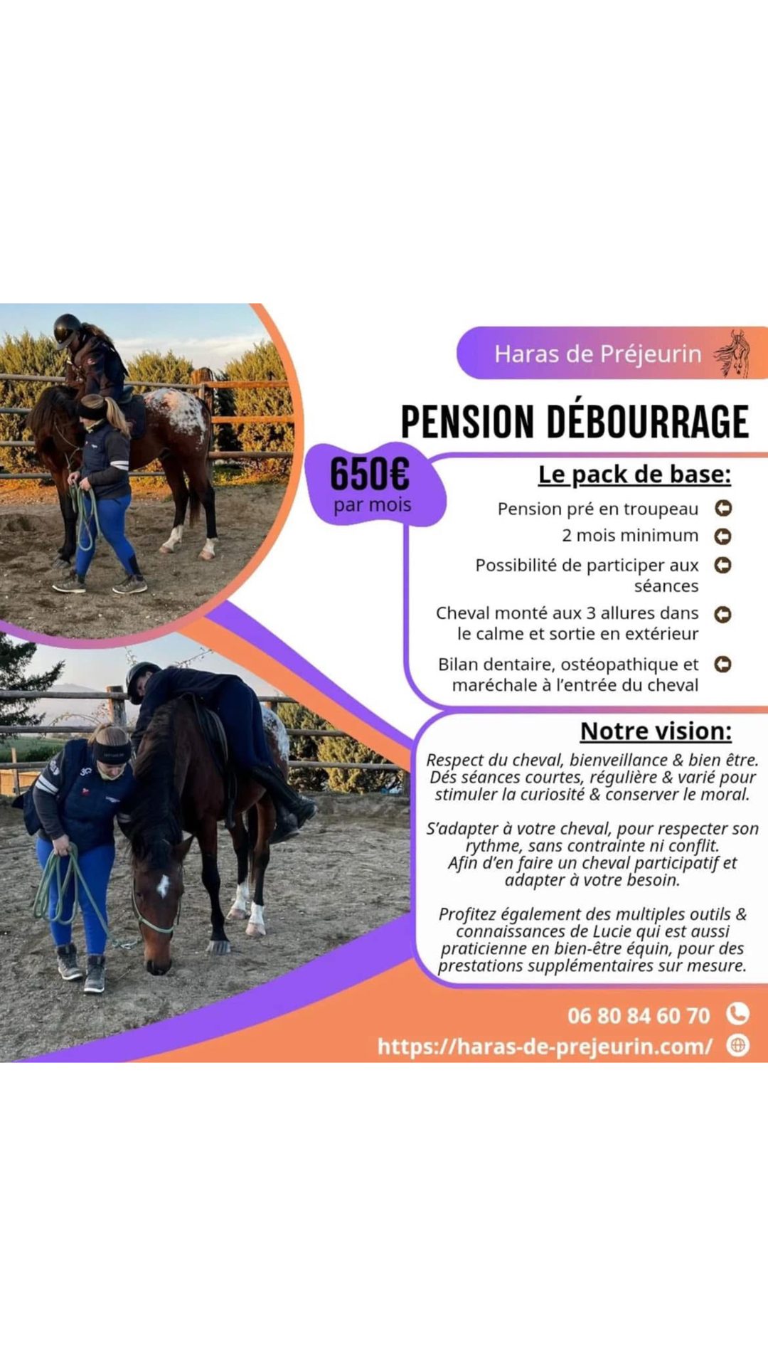 Pension Débourrage au Haras de Préjeurin, média 2