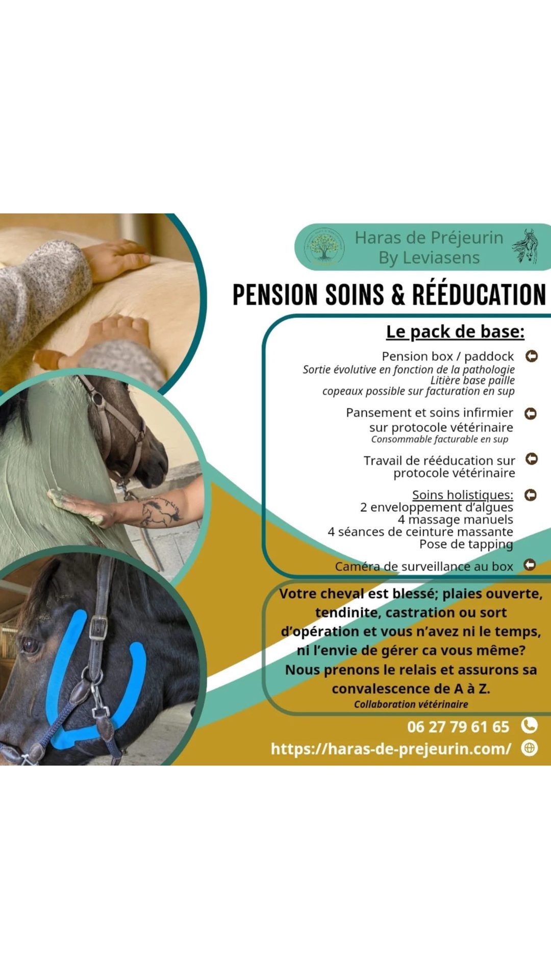 Pension Soins & Rééducation au Haras de Préjeurin, média 2