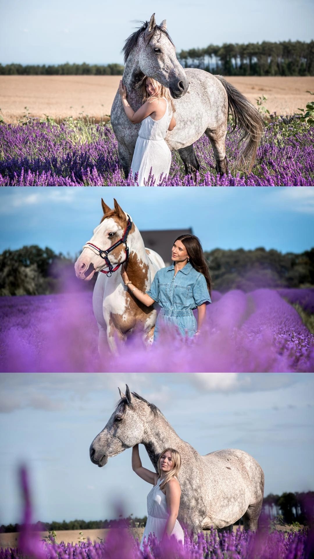 Anne-Lou | Photographe équestre, média 4