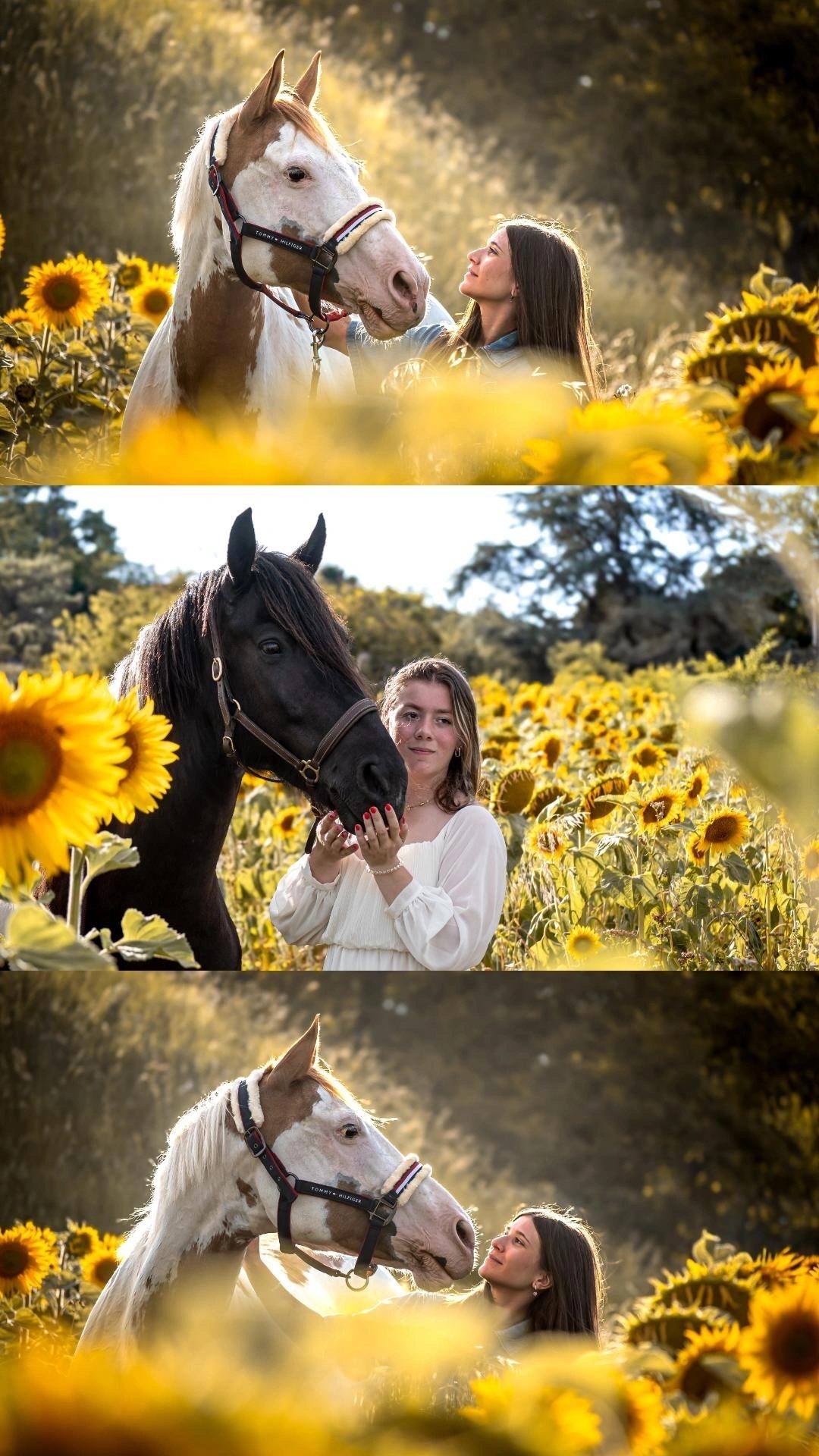 Anne-Lou | Photographe équestre, média 3